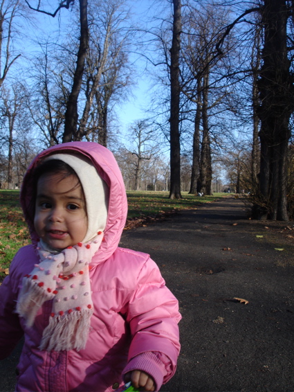 Dec 1 park 2.jpg